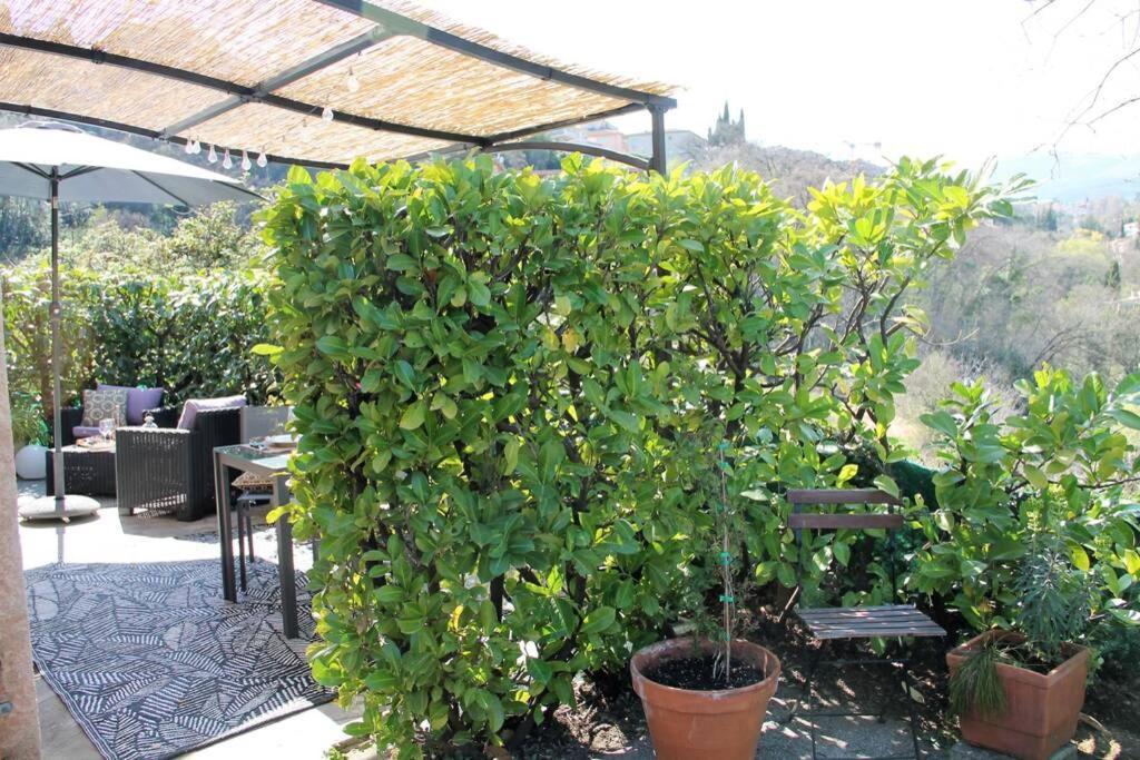 Charmant 2 Pieces + Terrasse Entoure De Verdure Vence Dış mekan fotoğraf